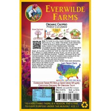 Everwilde Farms - 50 Organic Calypso F1 Hybrid Cucumber Seeds - Gold Vault Jumbo Bulk Seed Packet   